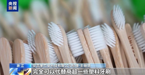 正规配资门户网站 从牙刷到交通护栏 “以竹代塑”让竹子可以“百变”